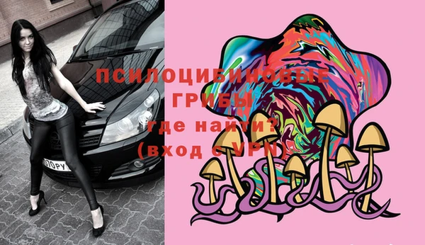 индика Богородицк