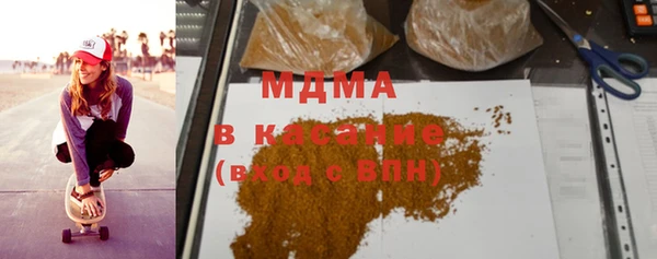 индика Богородицк