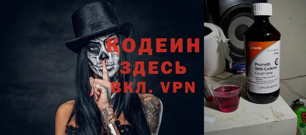 индика Богородицк