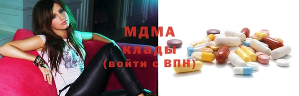 индика Богородицк