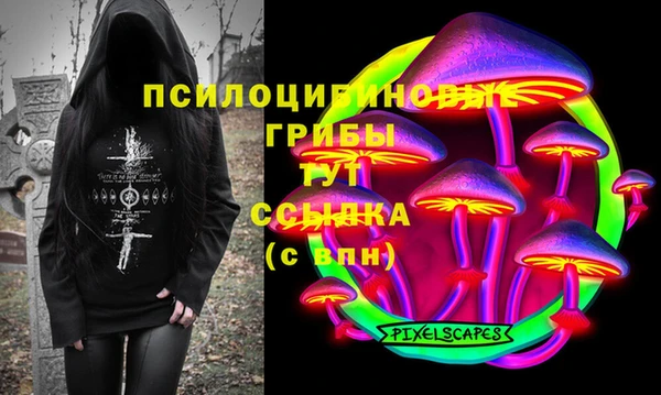 прущая мука Белокуриха