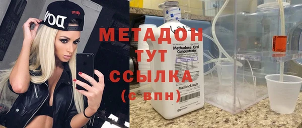 индика Богородицк